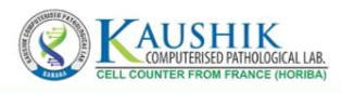 Kaushik 